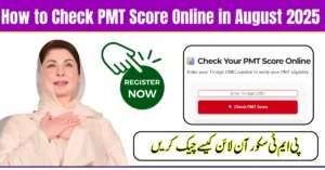 How to Check PMT Score Online in August 2025 – Step-by-Step Guide for BISP & Ehsaas Applicants